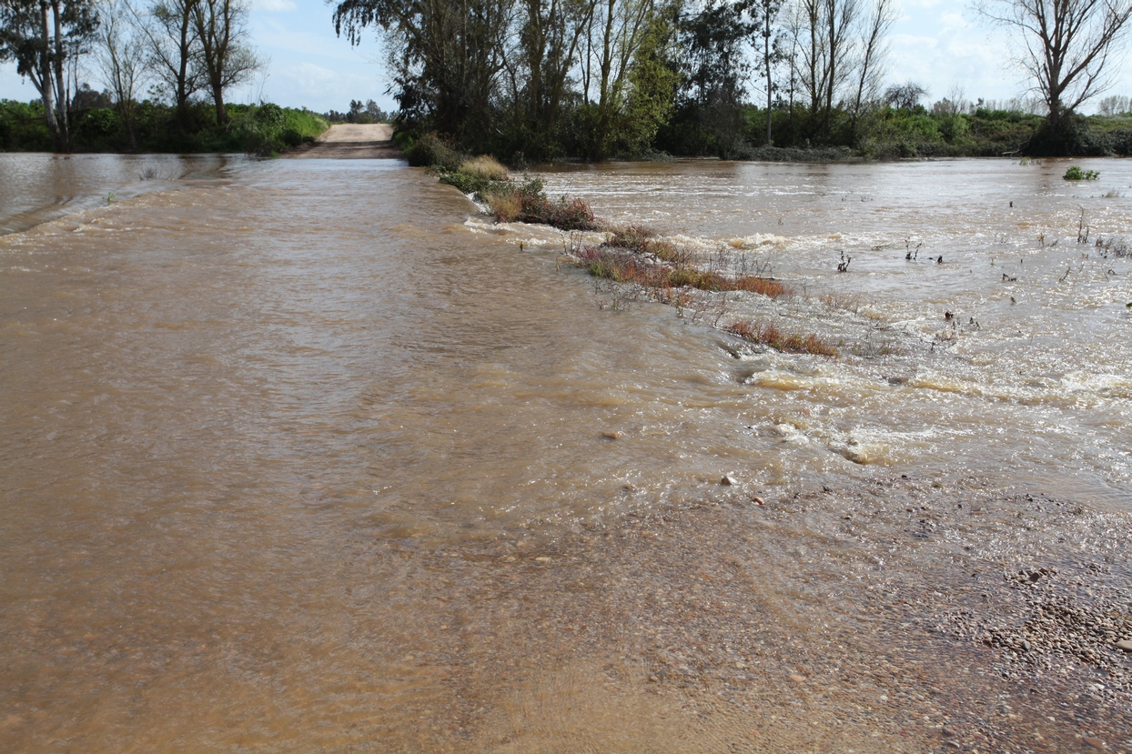 El arroyo Guerrero inunda badenes en Novelda y Sagrajas