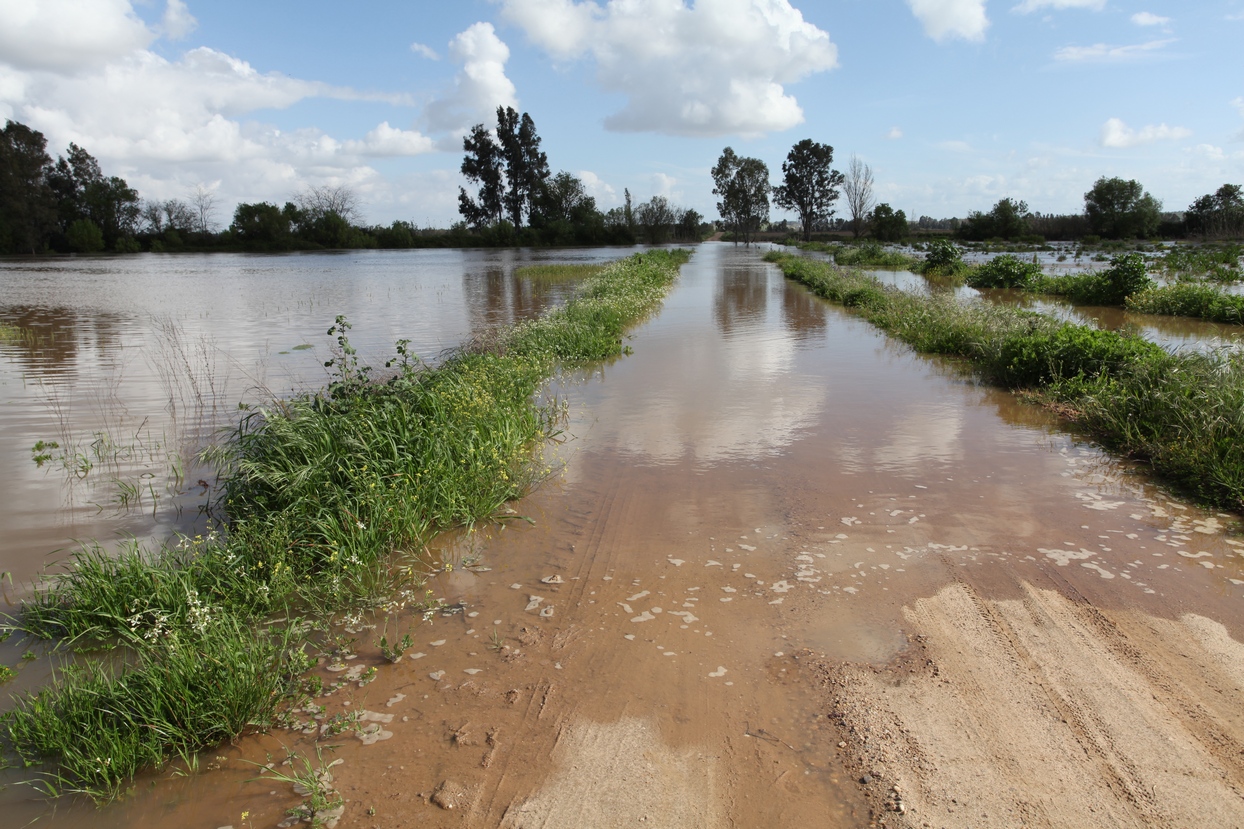 El arroyo Guerrero inunda badenes en Novelda y Sagrajas