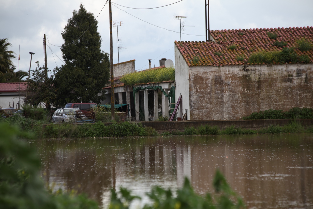 Punta de la crecida del río Guadiana a su paso por Badajoz y Caya