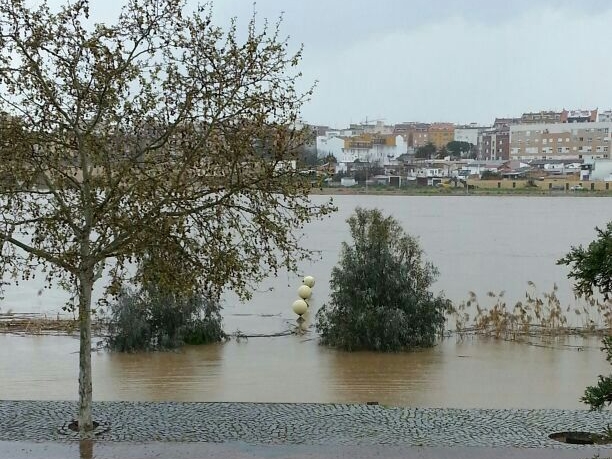 Situación actual del río Guadiana a su paso por Badajoz