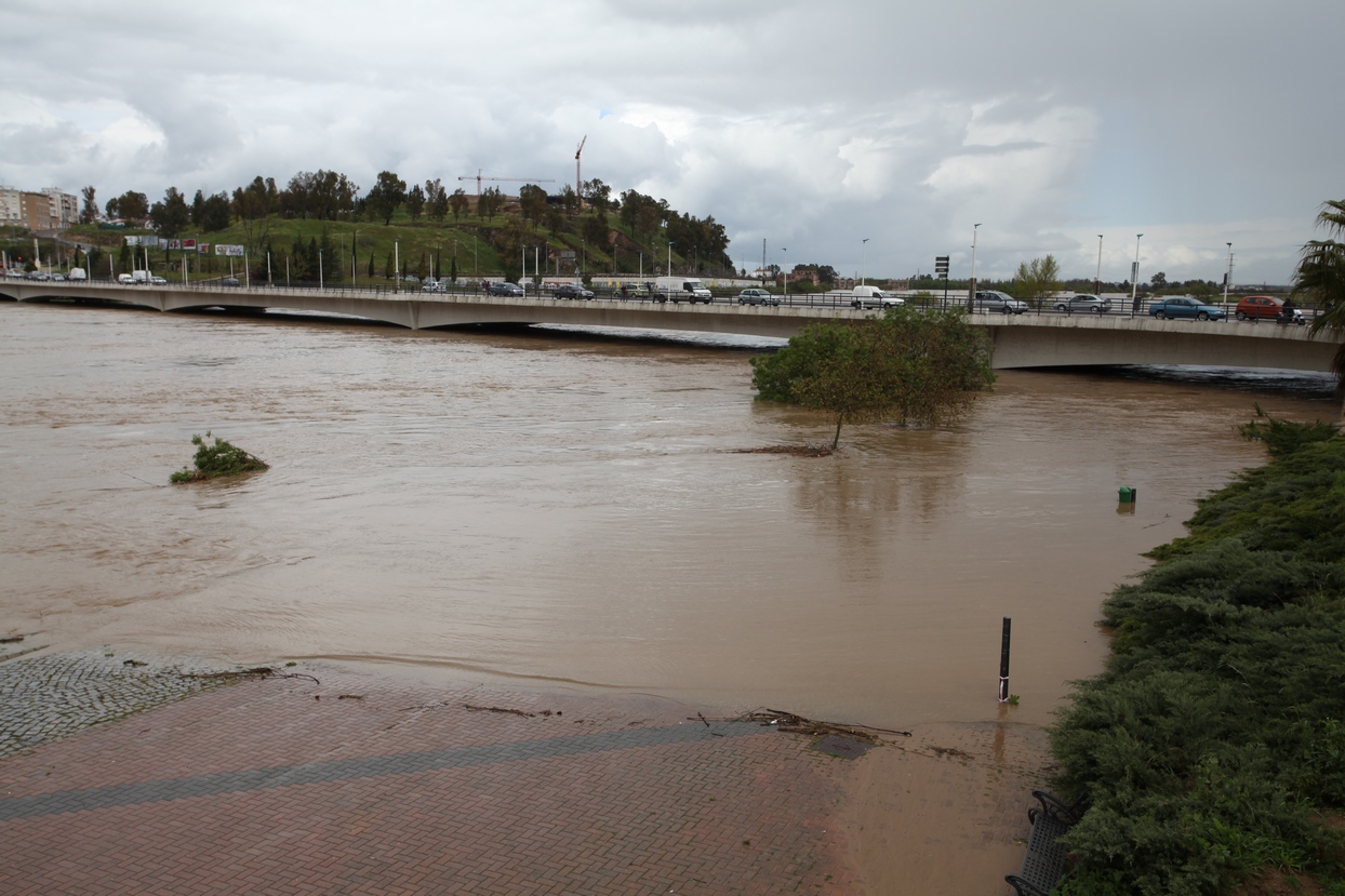 Punta de la crecida del río Guadiana a su paso por Badajoz y Caya