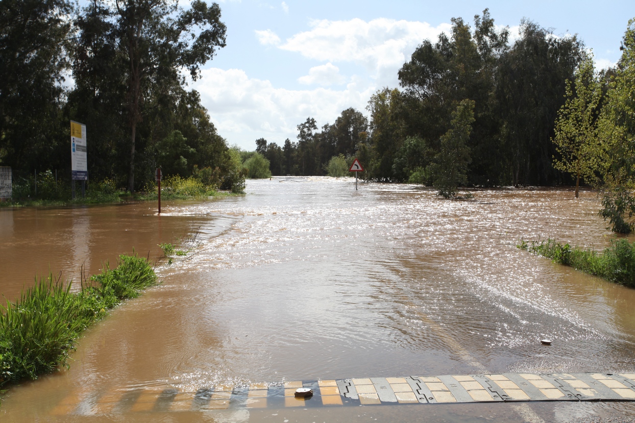 El arroyo Guerrero inunda badenes en Novelda y Sagrajas