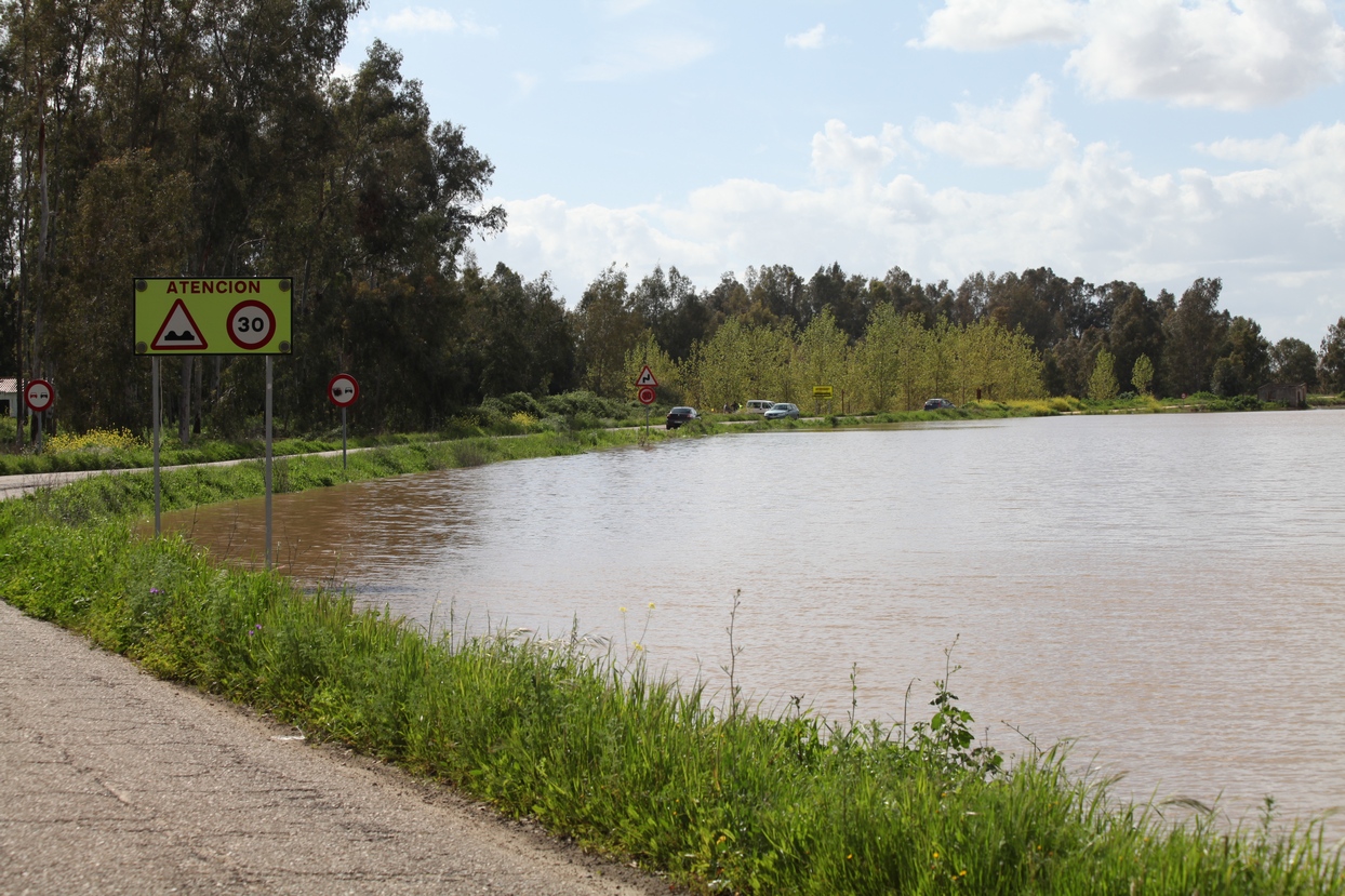 El arroyo Guerrero inunda badenes en Novelda y Sagrajas