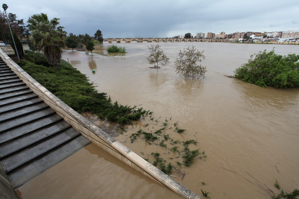 Punta de la crecida del río Guadiana a su paso por Badajoz y Caya