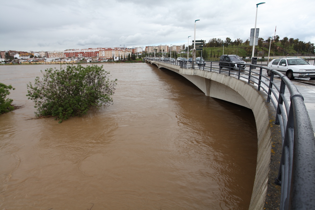 Punta de la crecida del río Guadiana a su paso por Badajoz y Caya