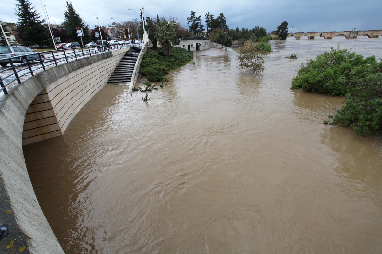 Punta de la crecida del río Guadiana a su paso por Badajoz y Caya