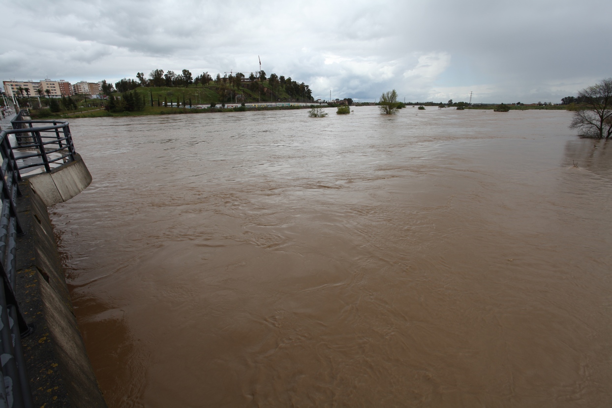 Punta de la crecida del río Guadiana a su paso por Badajoz y Caya