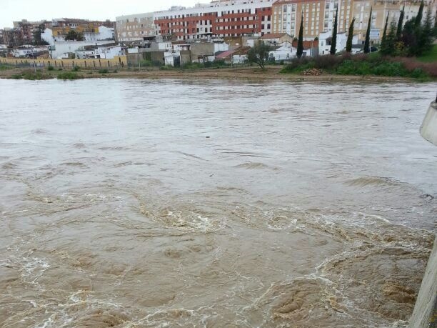 Situación actual del río Guadiana a su paso por Badajoz