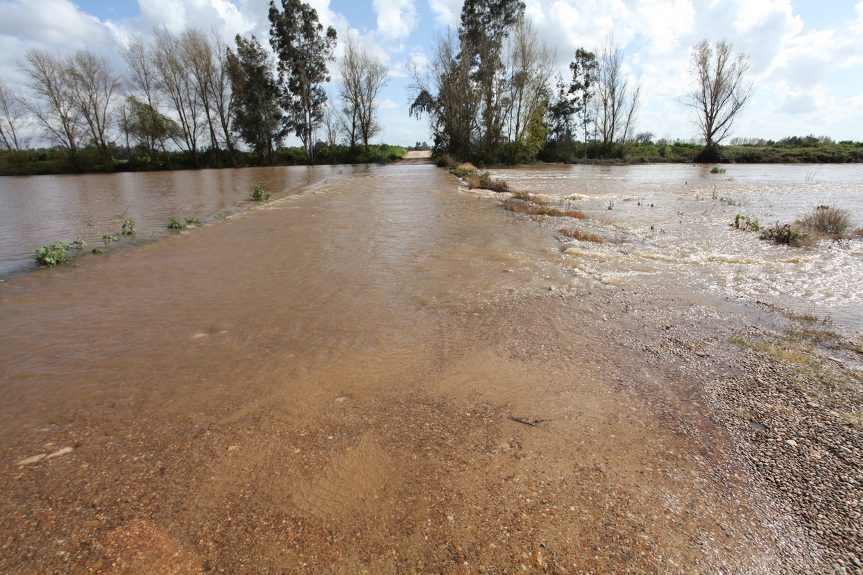 El arroyo Guerrero inunda badenes en Novelda y Sagrajas