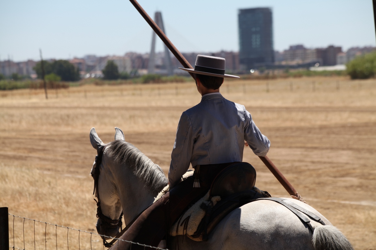 Concurso Nacional de Acoso y Derribo en Badajoz