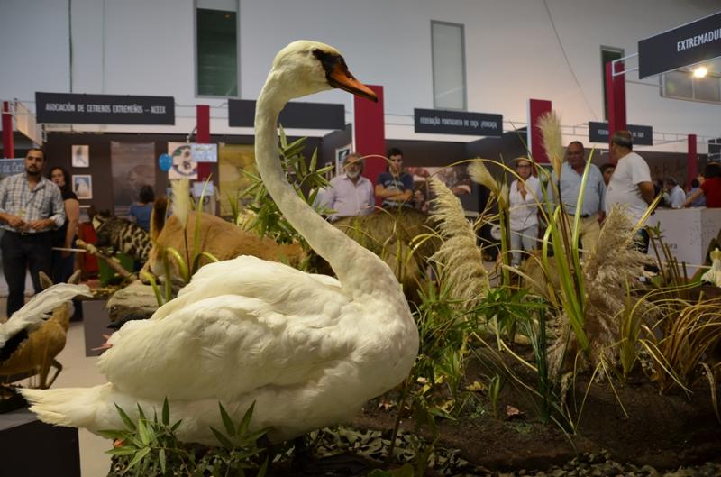 Imágenes del ambiente en la 24º edición de Feciex 