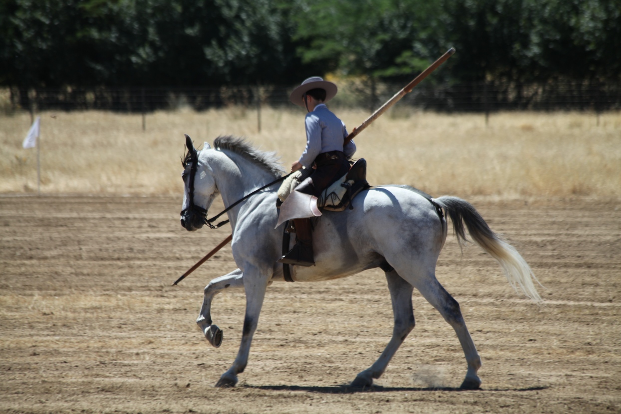 Concurso Nacional de Acoso y Derribo en Badajoz