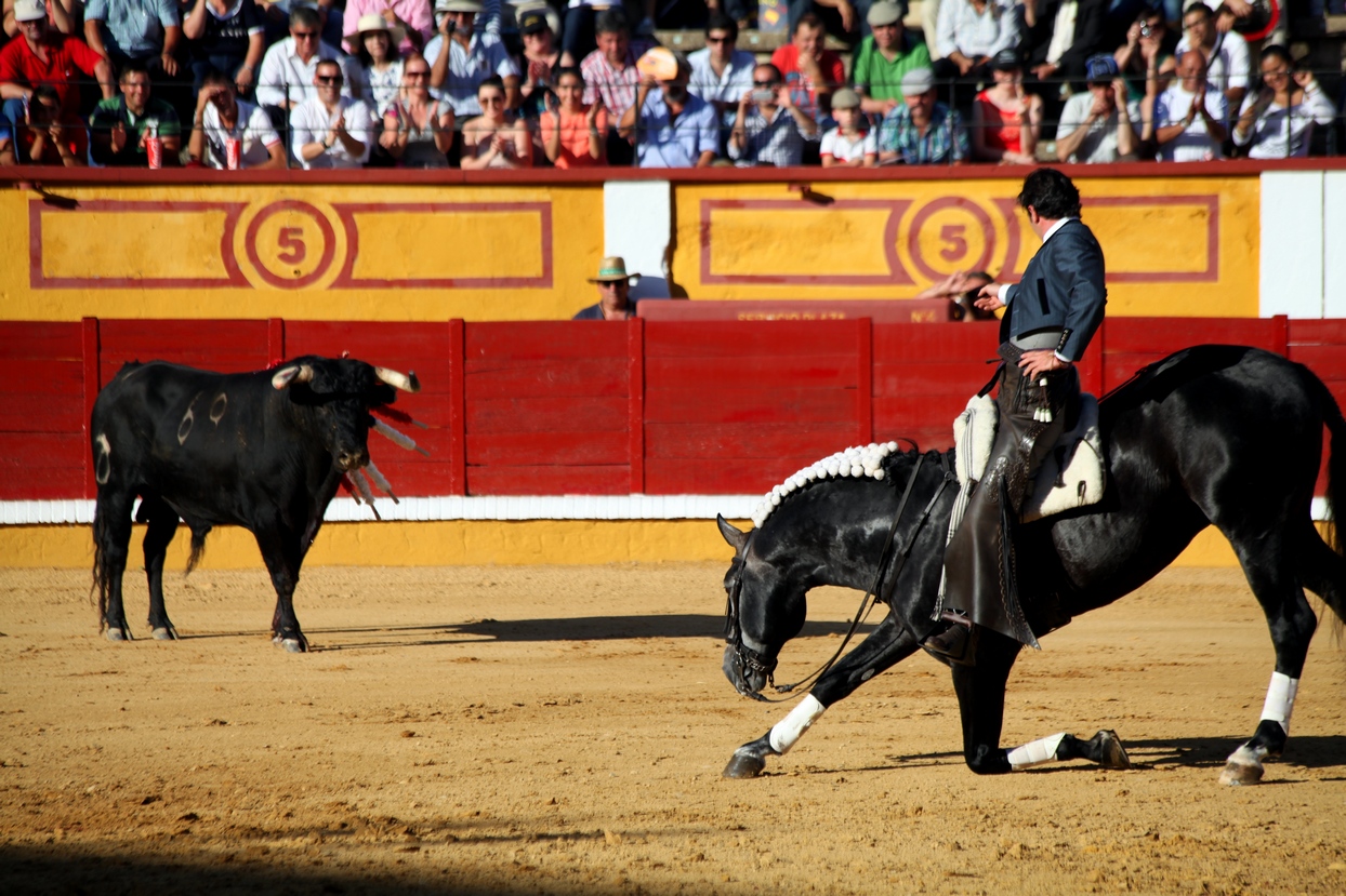 Imágenes de la primera tarde de feria taurina en Badajoz