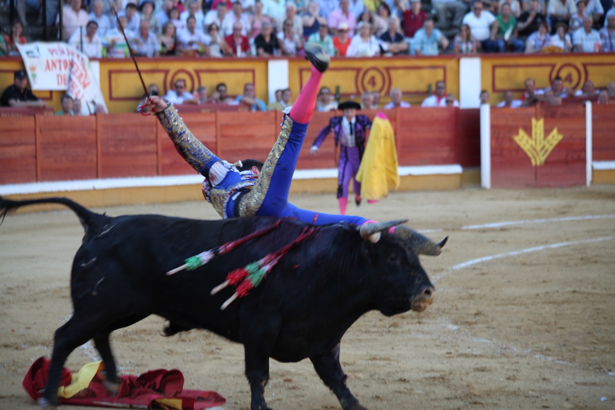 Imágenes de la novillada de la Feria Taurina de Badajoz 2013