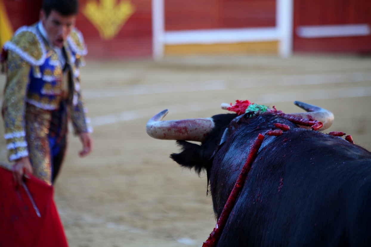 Imágenes de la novillada de la Feria Taurina de Badajoz 2013