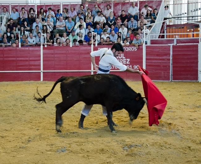 El diestro Alejandro Talavante ofrece una clase magistral en Ecuextre