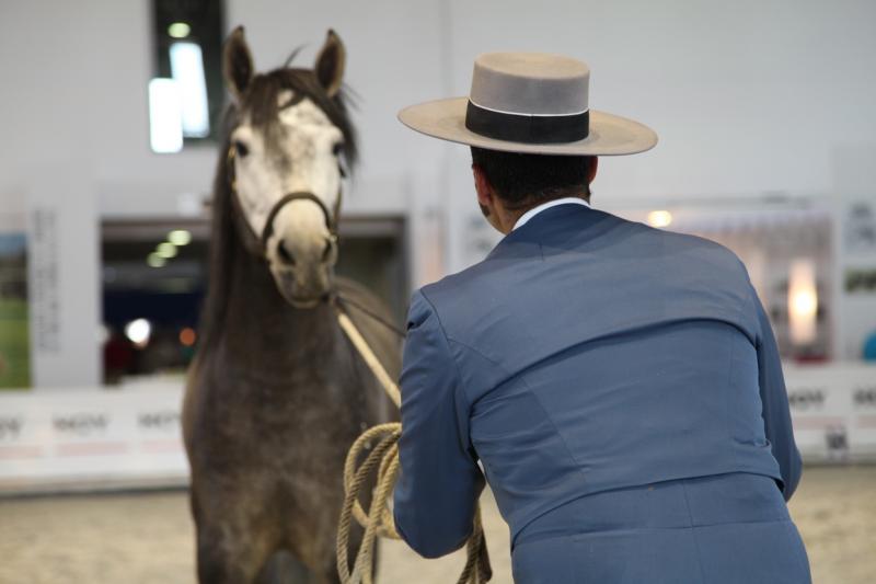 Imágenes de la inauguración de la Feria Ecuextre Badajoz