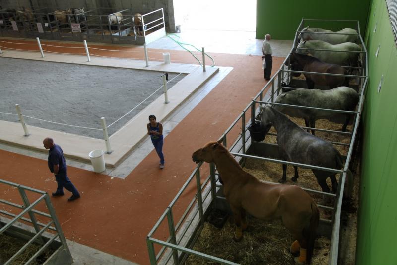Imágenes de la inauguración de la Feria Ecuextre Badajoz