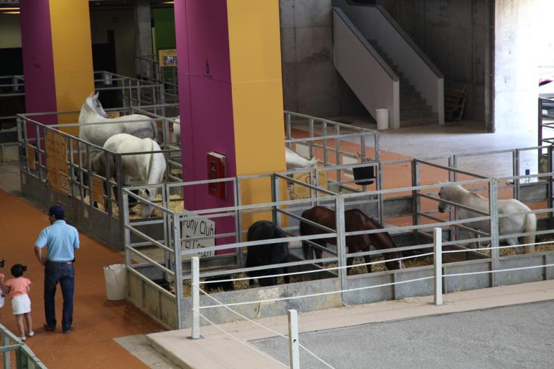 Imágenes de la inauguración de la Feria Ecuextre Badajoz