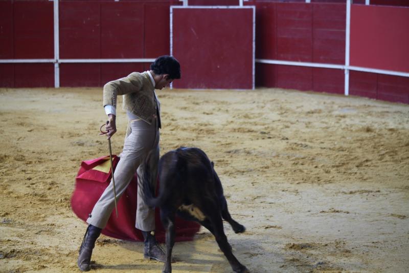 Imágenes de la inauguración de la Feria Ecuextre Badajoz