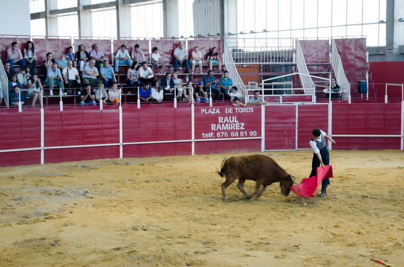 Continúa la actividad de la Feria del Toro y el Caballo Ecuextre 2013 Badajoz