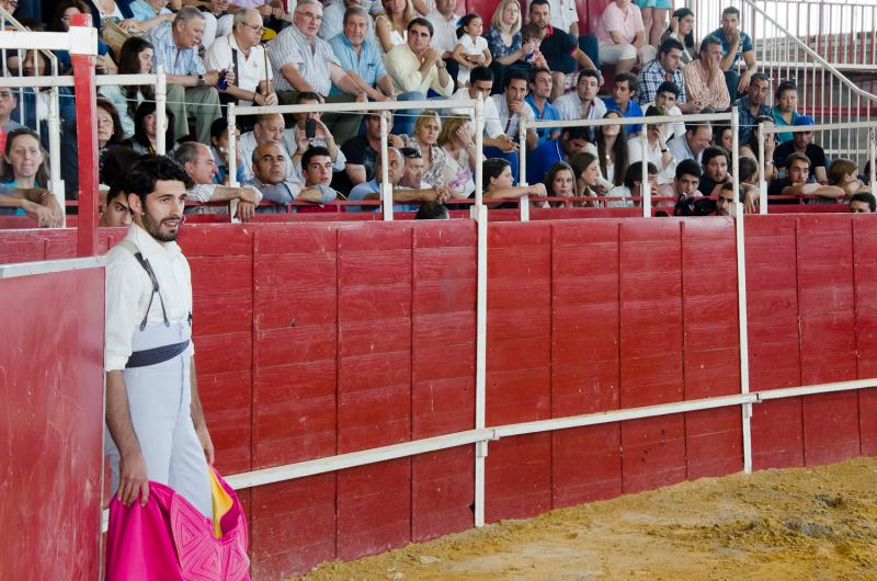 Continúa la actividad de la Feria del Toro y el Caballo Ecuextre 2013 Badajoz