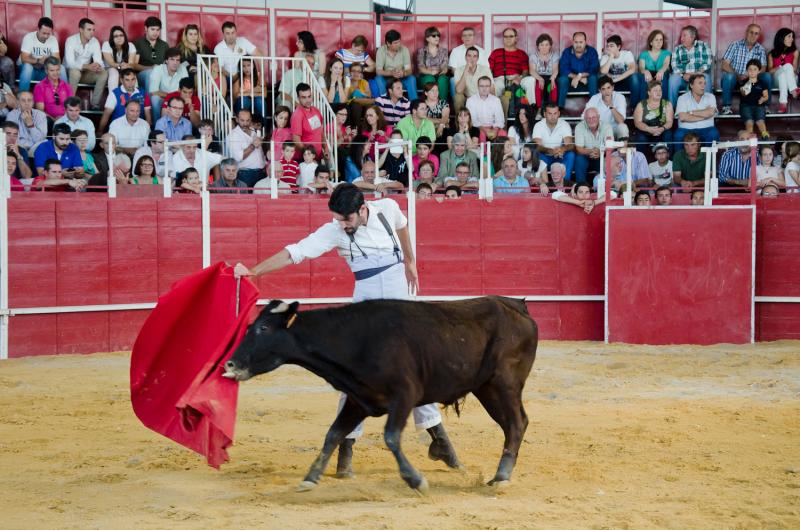 Continúa la actividad de la Feria del Toro y el Caballo Ecuextre 2013 Badajoz