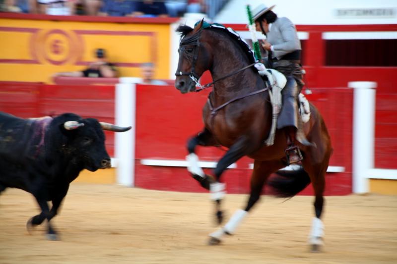 Imágenes de la primera tarde de feria taurina en Badajoz