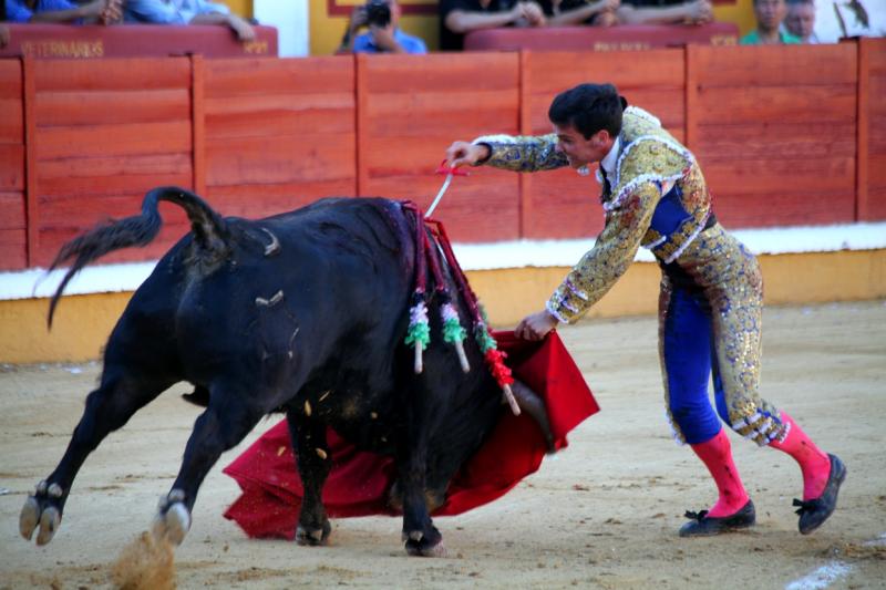 Imágenes de la novillada de la Feria Taurina de Badajoz 2013