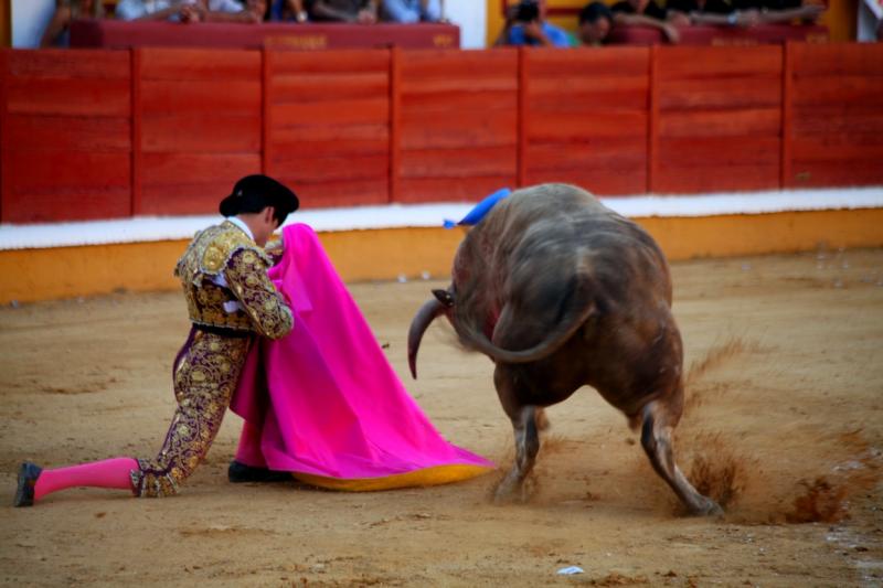 Imágenes de la novillada de la Feria Taurina de Badajoz 2013