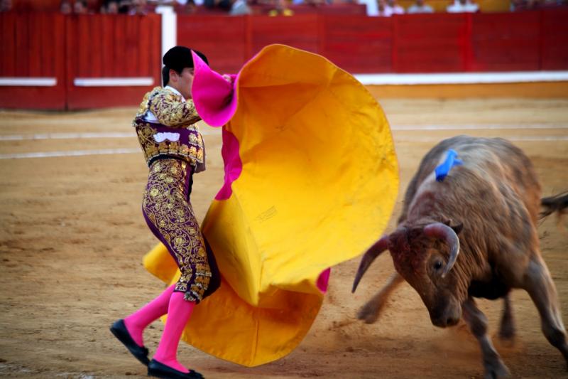 Imágenes de la novillada de la Feria Taurina de Badajoz 2013