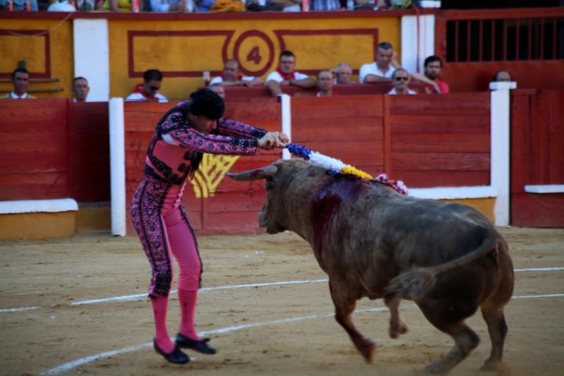 Imágenes de la novillada de la Feria Taurina de Badajoz 2013