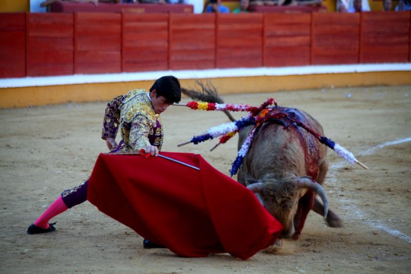 Imágenes de la novillada de la Feria Taurina de Badajoz 2013