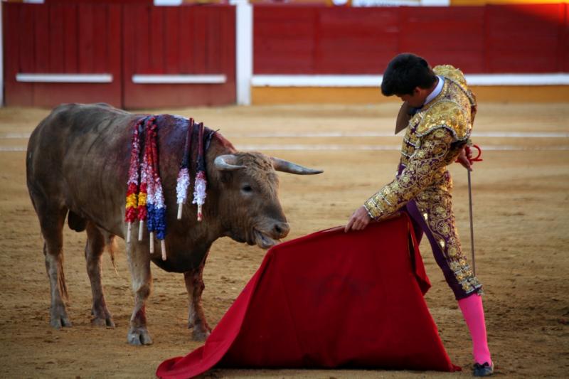 Imágenes de la novillada de la Feria Taurina de Badajoz 2013