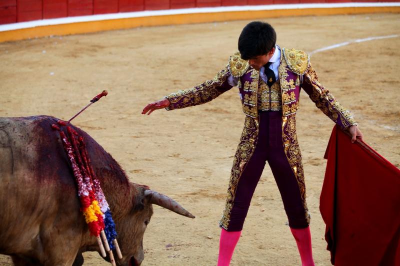 Imágenes de la novillada de la Feria Taurina de Badajoz 2013