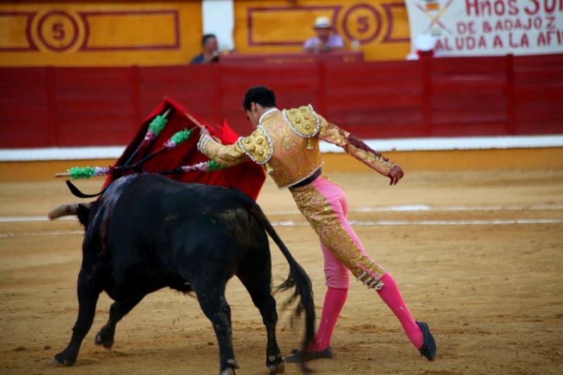 Imágenes de la novillada de la Feria Taurina de Badajoz 2013