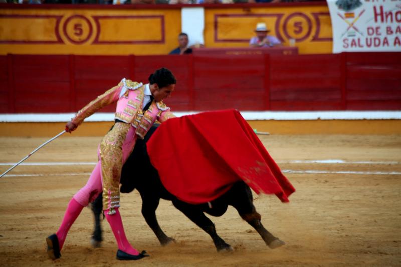 Imágenes de la novillada de la Feria Taurina de Badajoz 2013