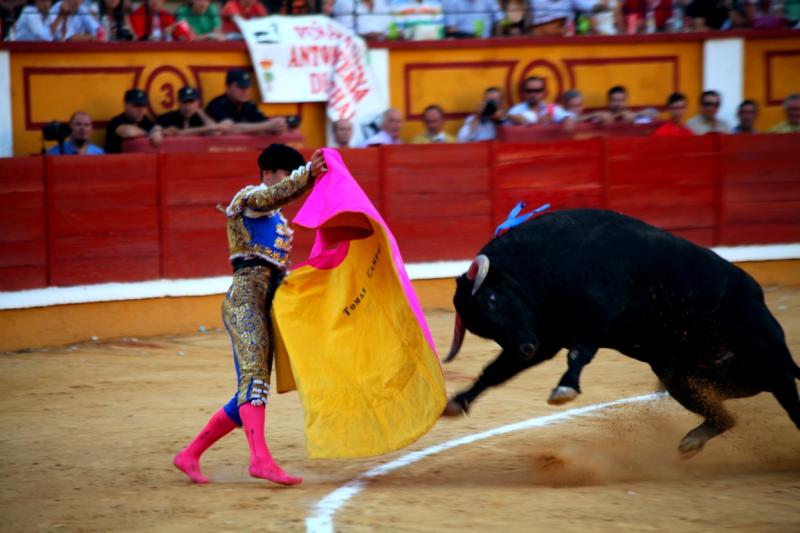 Imágenes de la novillada de la Feria Taurina de Badajoz 2013