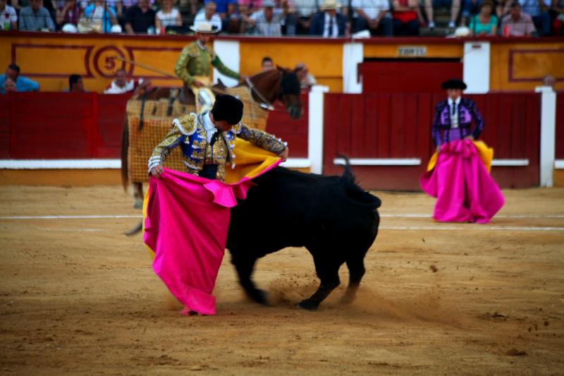 Imágenes de la novillada de la Feria Taurina de Badajoz 2013