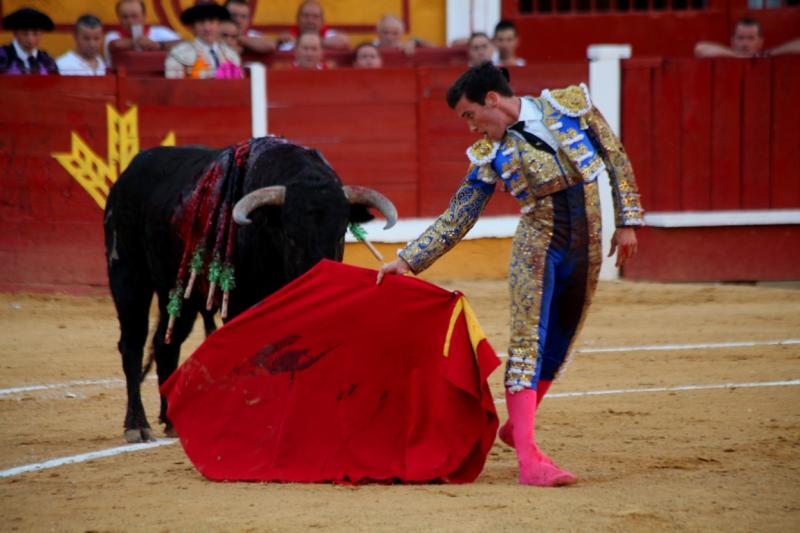 Imágenes de la novillada de la Feria Taurina de Badajoz 2013