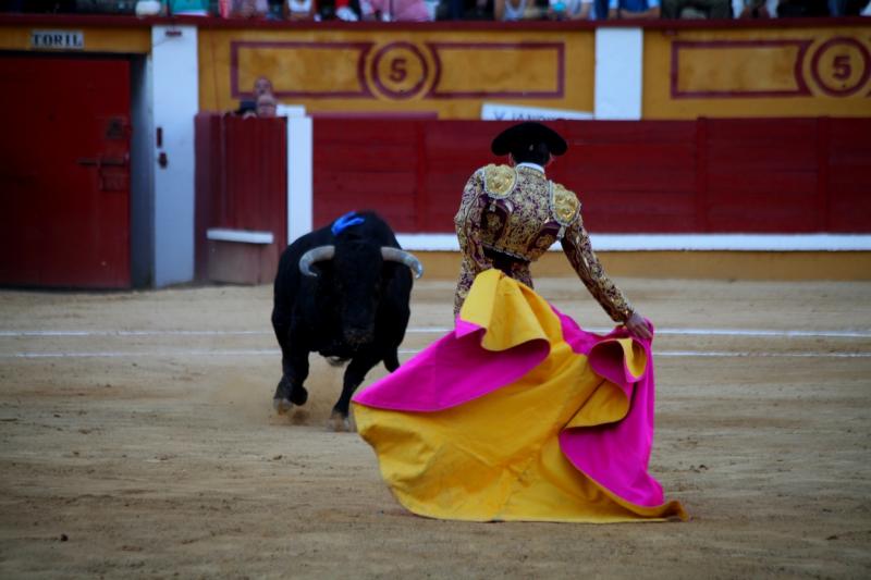 Imágenes de la novillada de la Feria Taurina de Badajoz 2013