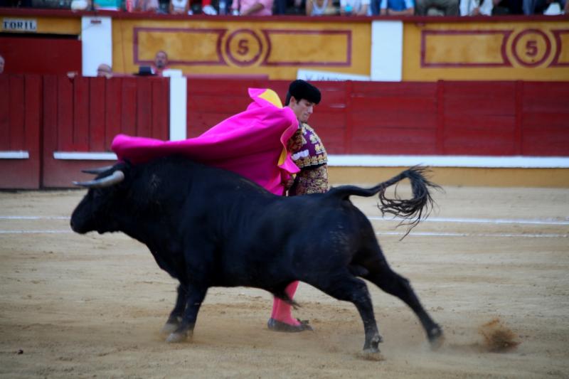 Imágenes de la novillada de la Feria Taurina de Badajoz 2013