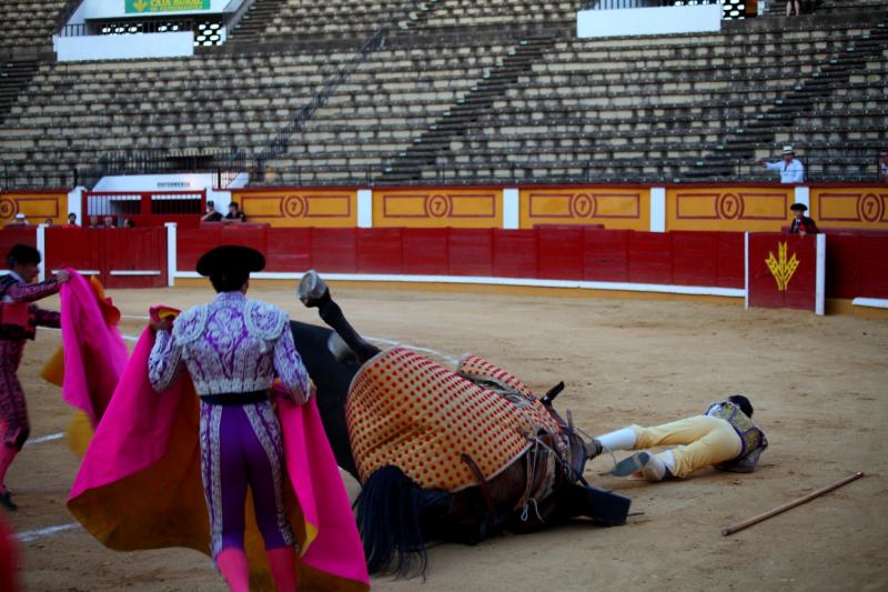 Imágenes de la novillada de la Feria Taurina de Badajoz 2013