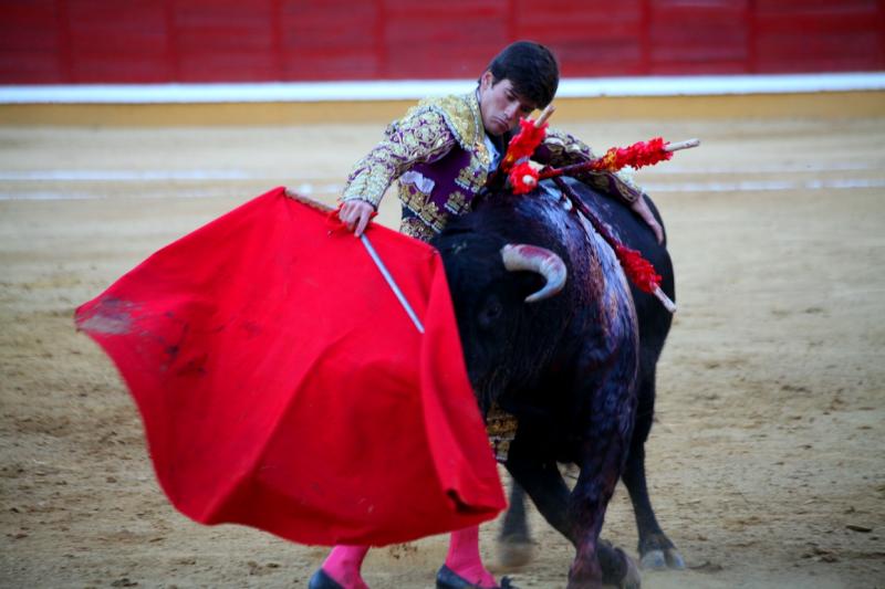 Imágenes de la novillada de la Feria Taurina de Badajoz 2013