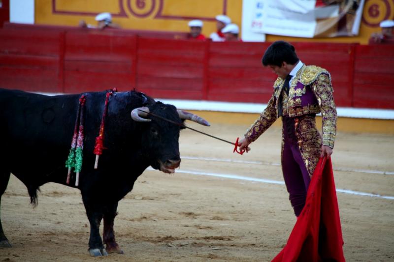 Imágenes de la novillada de la Feria Taurina de Badajoz 2013