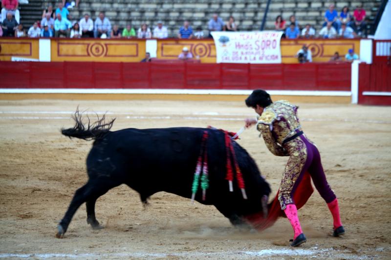 Imágenes de la novillada de la Feria Taurina de Badajoz 2013