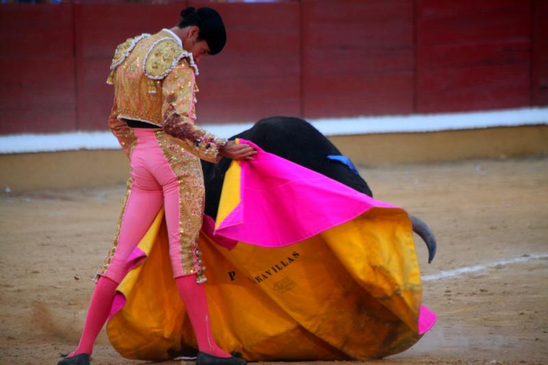 Imágenes de la novillada de la Feria Taurina de Badajoz 2013