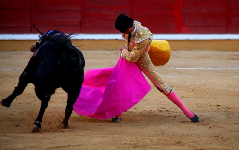 Imágenes de la novillada de la Feria Taurina de Badajoz 2013