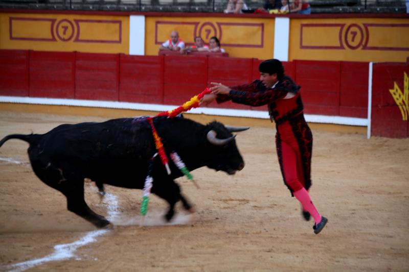 Imágenes de la novillada de la Feria Taurina de Badajoz 2013