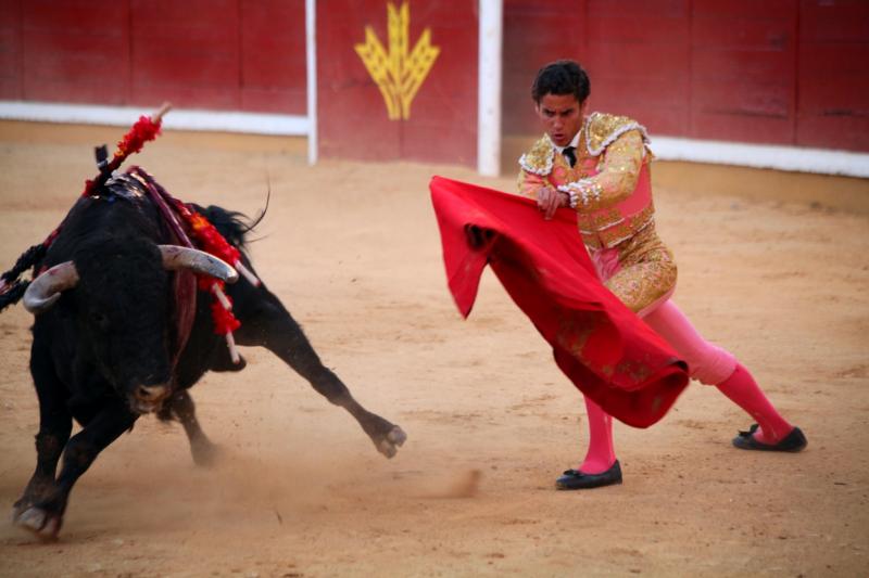 Imágenes de la novillada de la Feria Taurina de Badajoz 2013